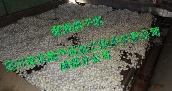 平床蚕茧烘干机，网带蚕茧烘干机