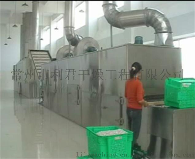 江苏厂家供应脱水蔬菜干燥机之带式干燥机
