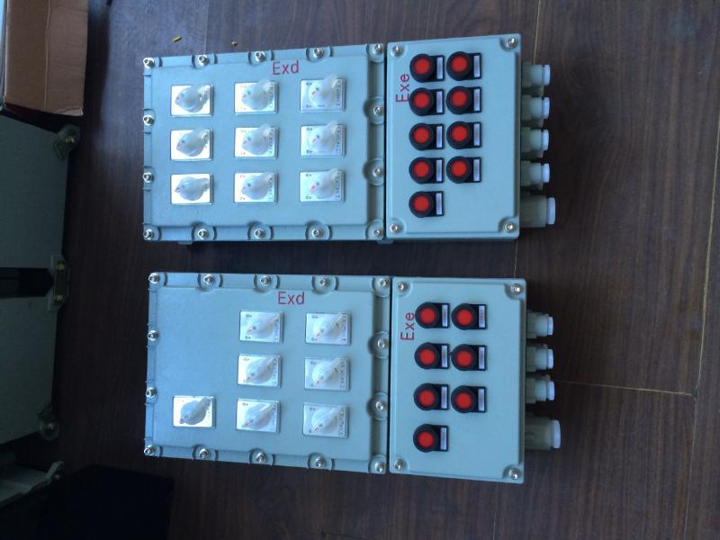防爆照明动力配电箱 IIB IIC 根据图纸定做 厂家直销 多回路