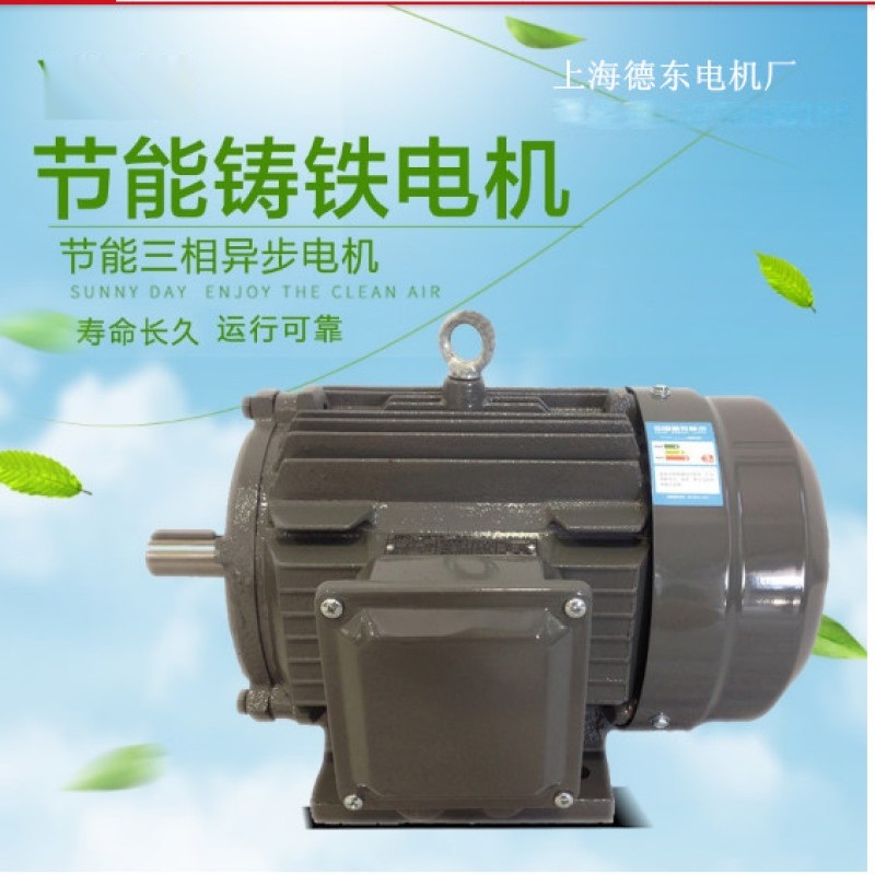 上海德东YE2高效节能三相异步电机
