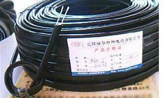 电伴热带电缆（DBR-J，DWK-PF）