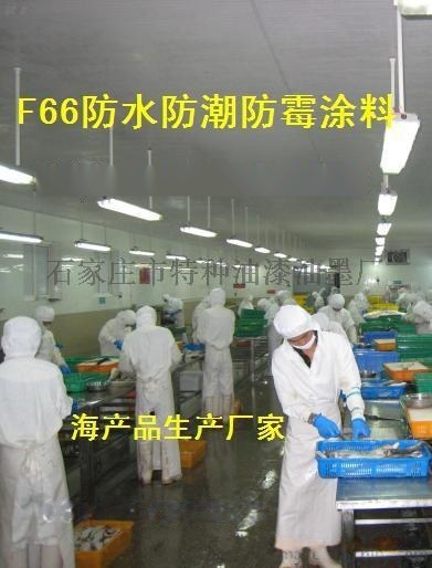 胜发66防霉涂料食品车间  