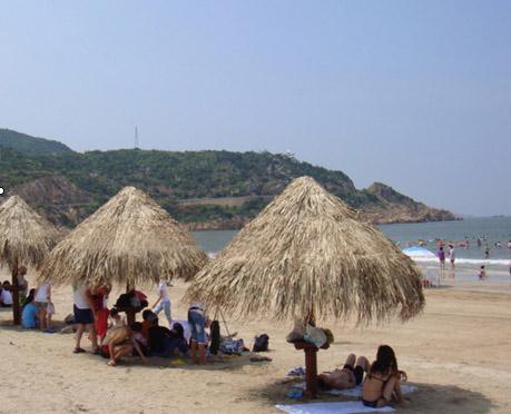 沙滩葵伞
