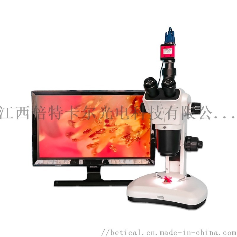 XTL-7063T-620HS型三目生物解剖镜