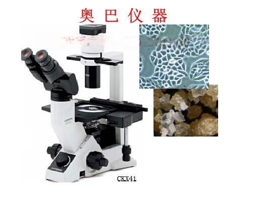 奥林巴斯CKX41倒置荧光相差显微镜