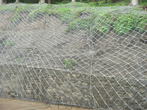 山体  边坡防护网￥昆明山体  边坡防护网￥山体  边坡防护网厂家
