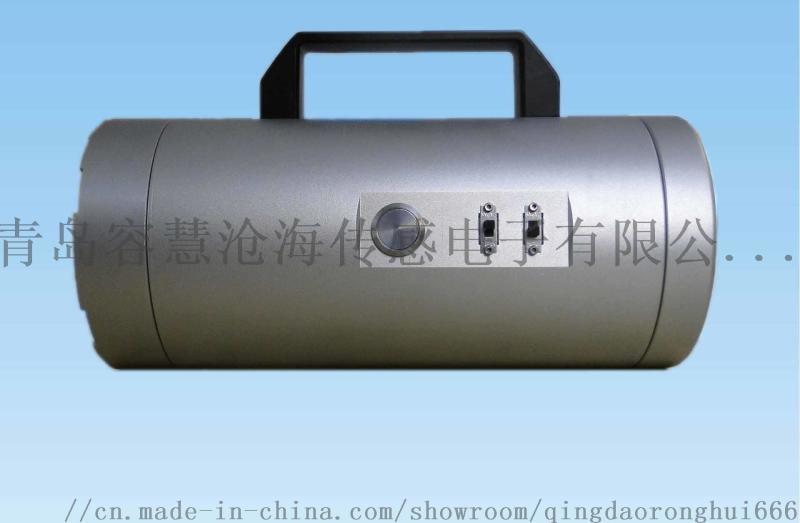 FDTL-1000型充电式火焰模拟器