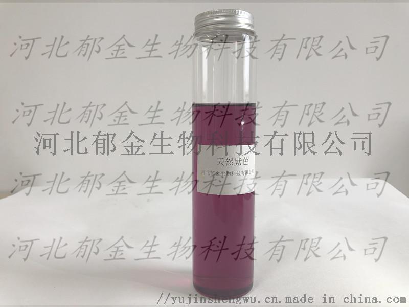 天然紫色 天然色素 面制品   工厂直销可量身定做