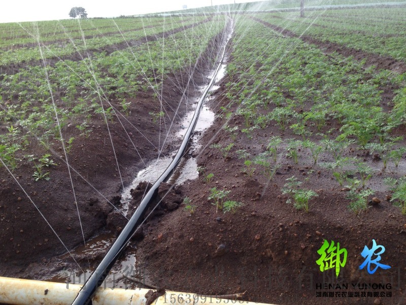 滴灌、微喷、水肥一体化上海华维节水灌溉质量  