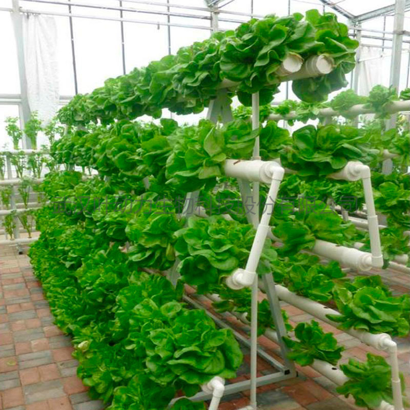 温室 无土水培蔬菜 PCV管道种植系统