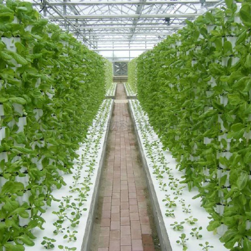 温室大棚 无土栽培蔬菜 三角立柱式 基质栽培