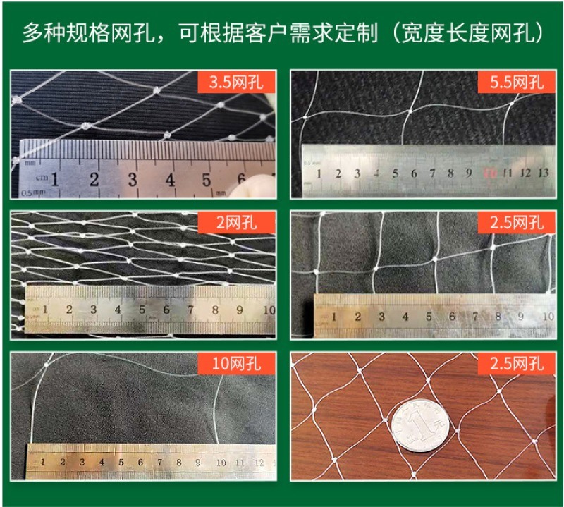 防鸟网果园葡萄防护网大棚拦鸟网渔网养殖网鸡网