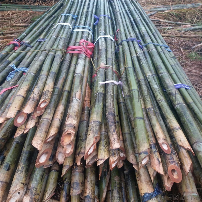 大量供应6米竹竿 树木支撑果蔬大棚竹竿