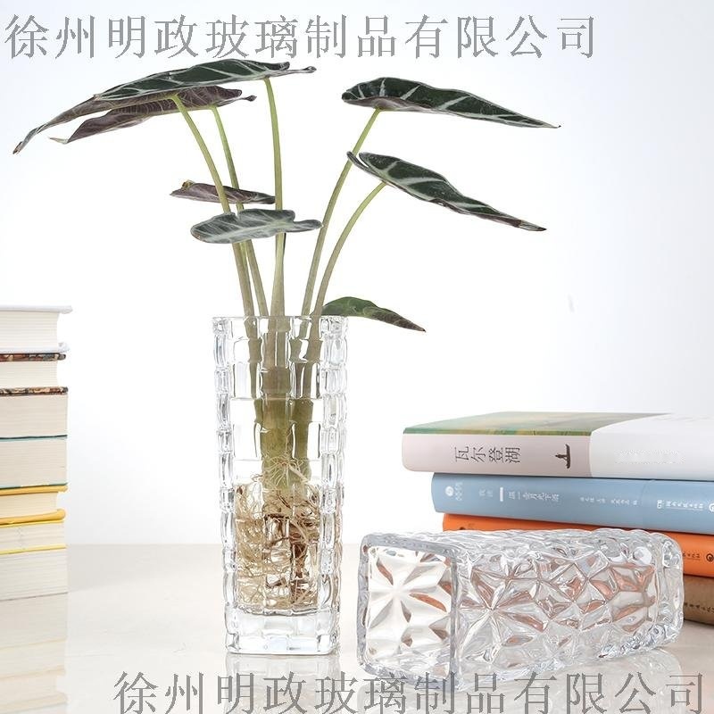 水培绿萝花瓶简约创意玻璃水培植物花盆透明 观音竹插花瓶