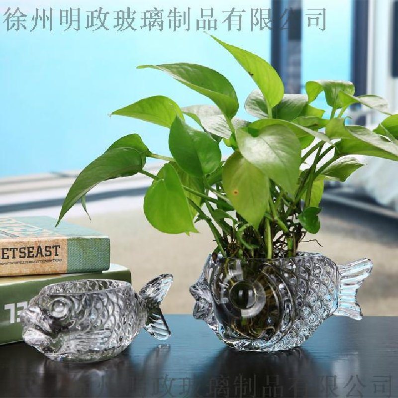 透明玻璃花瓶客厅摆件插花绿萝富贵竹水培花瓶摆件玻璃鱼水培杯
